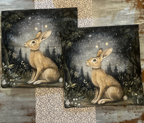 Rabbit hare cushion covers - x2,